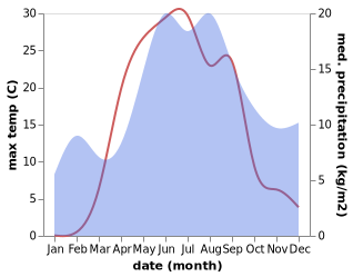 temperature and rainfall during the year in Salmi