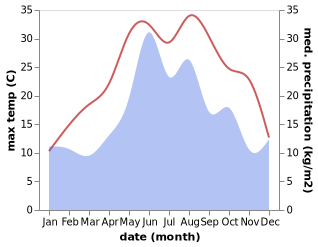 temperature and rainfall during the year in Arkhipo-Osipovka