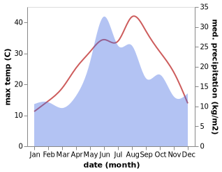 temperature and rainfall during the year in Dzhiginka