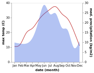 temperature and rainfall during the year in Konokovo