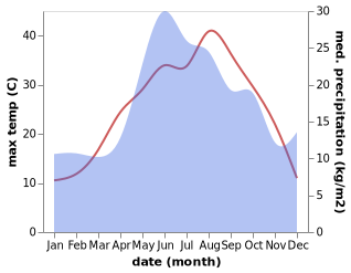 temperature and rainfall during the year in Novodzhereliyevskaya