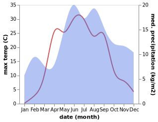 temperature and rainfall during the year in Druzhnaya Gorka