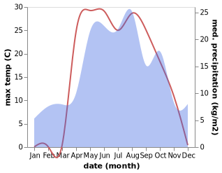 temperature and rainfall during the year in Ruzayevka