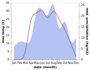 temperature and rainfall during the year in Blizhne-Pesochnoye