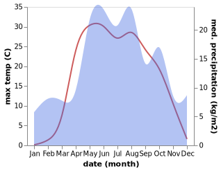 temperature and rainfall during the year in Diveyevo