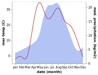 temperature and rainfall during the year in Dorogino