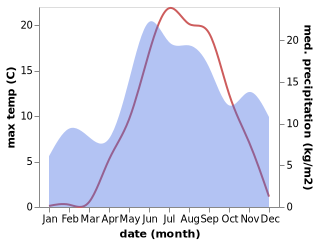 temperature and rainfall during the year in Novoizborsk