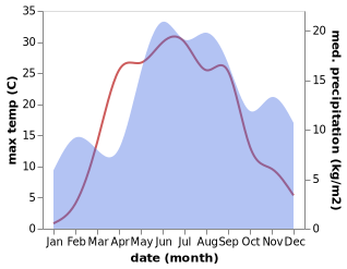 temperature and rainfall during the year in Pskov