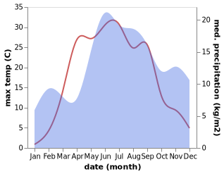 temperature and rainfall during the year in Strugi-Krasnyye