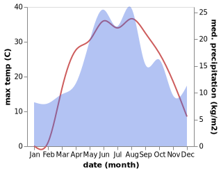 temperature and rainfall during the year in Almaznyy