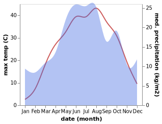 temperature and rainfall during the year in Bol'shaya Martynovka