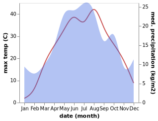 temperature and rainfall during the year in Dubovskoye