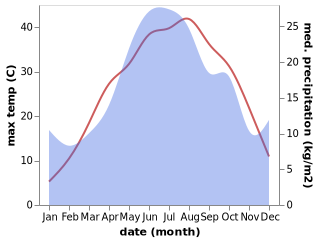 temperature and rainfall during the year in Gigant