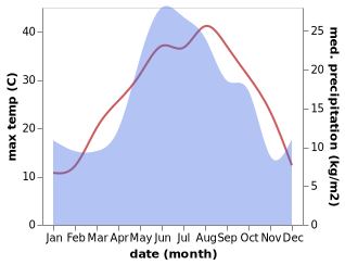 temperature and rainfall during the year in Donskoye