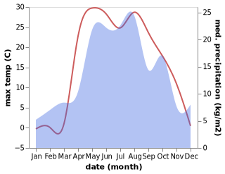 temperature and rainfall during the year in Bazarnyy Syzgan