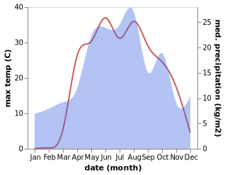 temperature and rainfall during the year in Novoanninskiy