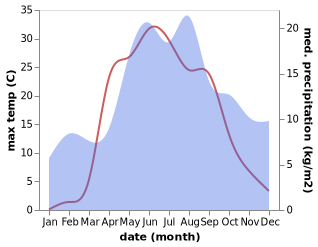 temperature and rainfall during the year in Nelazskoye