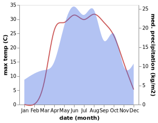 temperature and rainfall during the year in Buturlinovka