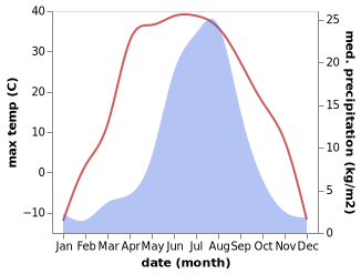 temperature and rainfall during the year in Borzya