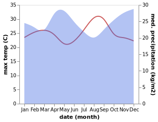 temperature and rainfall during the year in Nzega