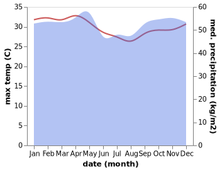 temperature and rainfall during the year in São Tomé