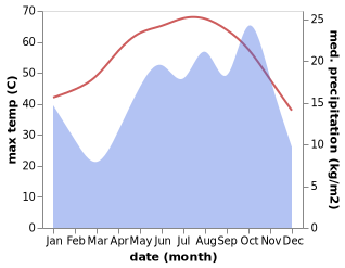 temperature and rainfall during the year in Sultanah