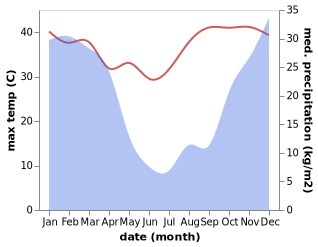 temperature and rainfall during the year in Paulpietersburg