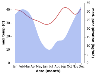 temperature and rainfall during the year in Wartburg