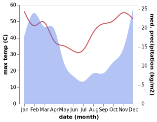 temperature and rainfall during the year in Bloemhof