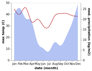 temperature and rainfall during the year in Fochville