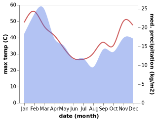 temperature and rainfall during the year in Swellendam