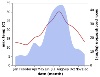 temperature and rainfall during the year in Chido