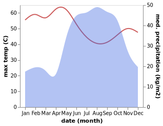 temperature and rainfall during the year in Singa