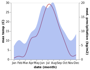 temperature and rainfall during the year in Bergnaset