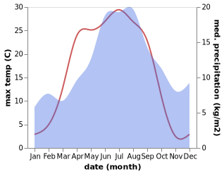 temperature and rainfall during the year in Hogsjo