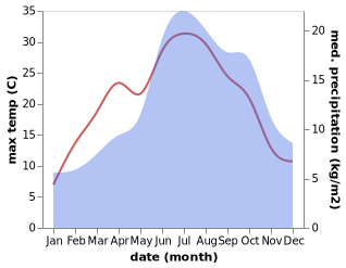 temperature and rainfall during the year in Dietwil