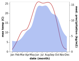 temperature and rainfall during the year in Buseno