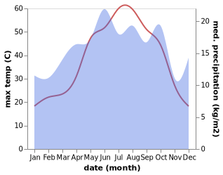 temperature and rainfall during the year in Ra's al 'Ayn