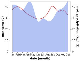 temperature and rainfall during the year in Kidodi