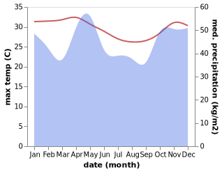 temperature and rainfall during the year in Chake Chake