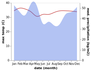 temperature and rainfall during the year in Kibiti