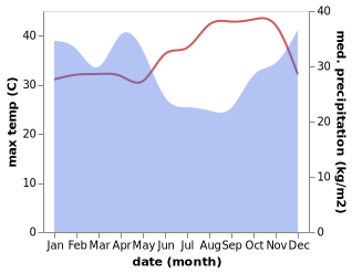 temperature and rainfall during the year in Puma