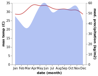 temperature and rainfall during the year in Panare