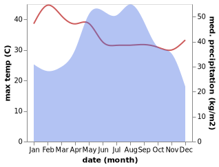 temperature and rainfall during the year in Wang Pong