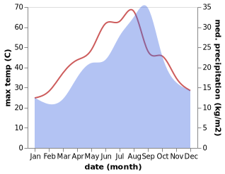 temperature and rainfall during the year in Al Masdur