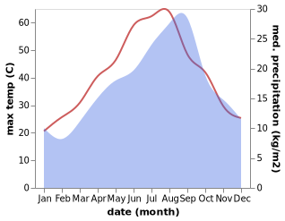 temperature and rainfall during the year in Manzil Salim