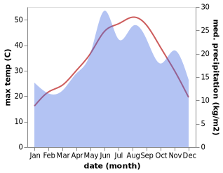 temperature and rainfall during the year in Aliaga