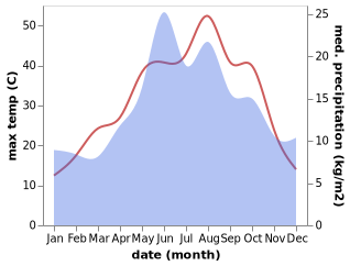 temperature and rainfall during the year in Delice