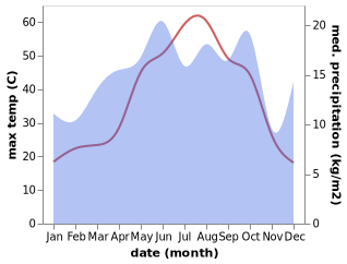 temperature and rainfall during the year in Hasantepe