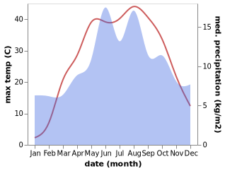 temperature and rainfall during the year in Bor